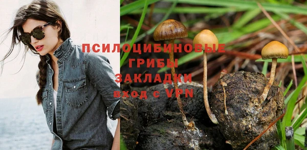 прущая мука Алзамай
