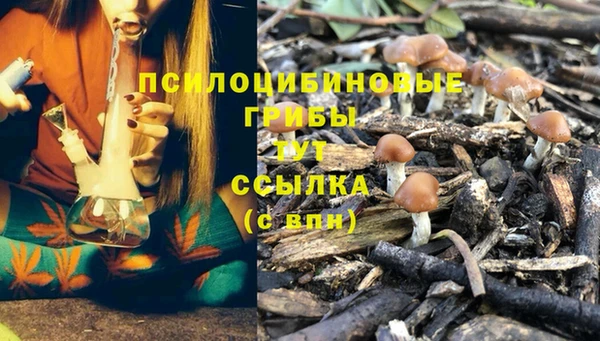 герыч Алексин