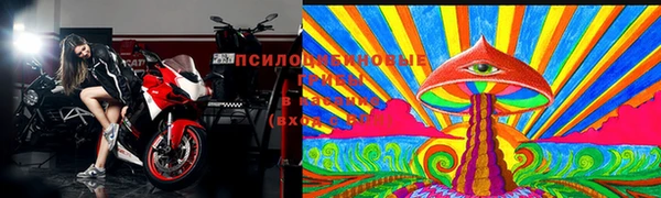герыч Алексин
